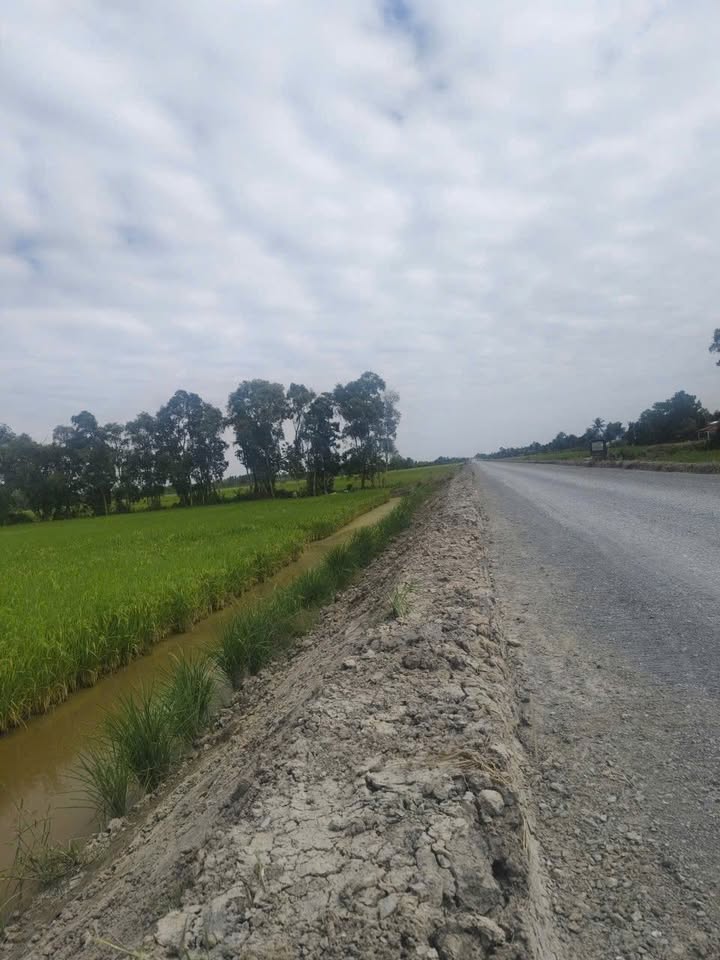 Đất Farm 49 công tại Thạnh Tân, Thạnh Trị, Sóc Trăng - Tiềm năng đầu tư lớn!