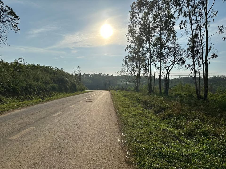 Đất nền DT648, Xã Sơn Xuân, Huyện Sơn Hòa, 3000m² - Cơ hội đầu tư hấp dẫn!