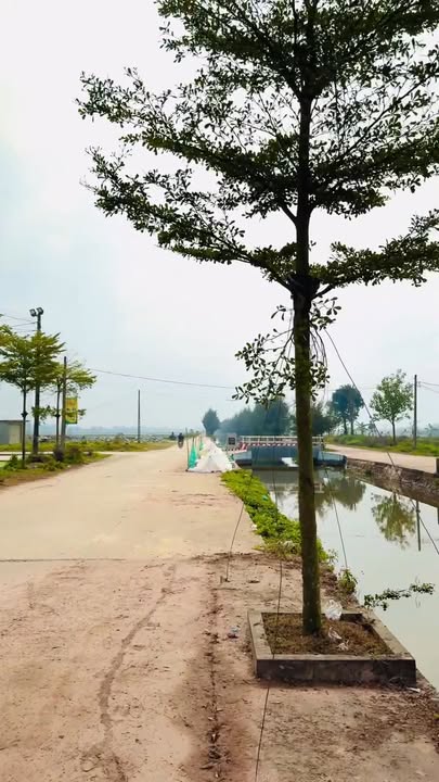 Đất nền xã Hùng Tiến Kim Sơn 110m² - Gần chợ Quy Hậu và trường học!