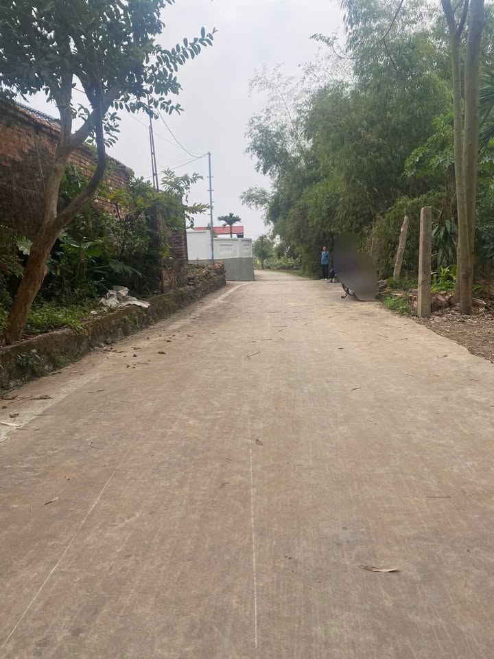 Đất thổ cư Trí Yên Bắc Giang 180m² giá 1.2 tỷ - Đầu tư sinh lời lý tưởng!