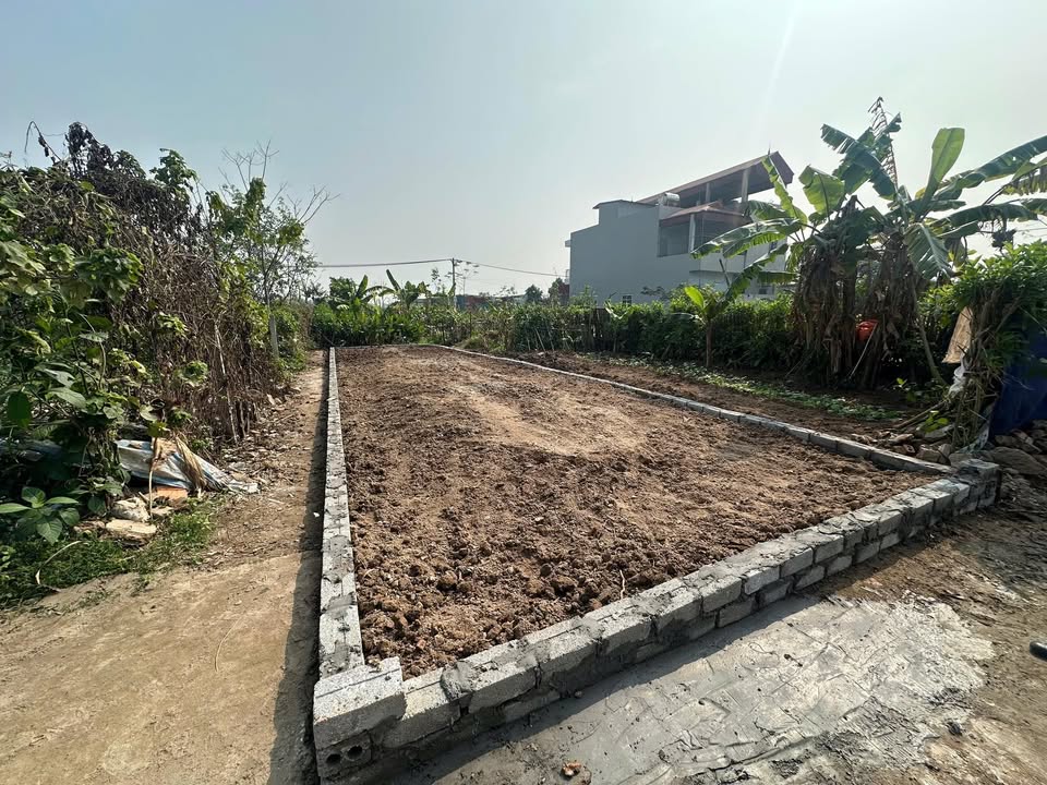 Đất nền Phương Tú 84m² giá chỉ 3 tỷ - Ô tô tránh, tiện ích đầy đủ!