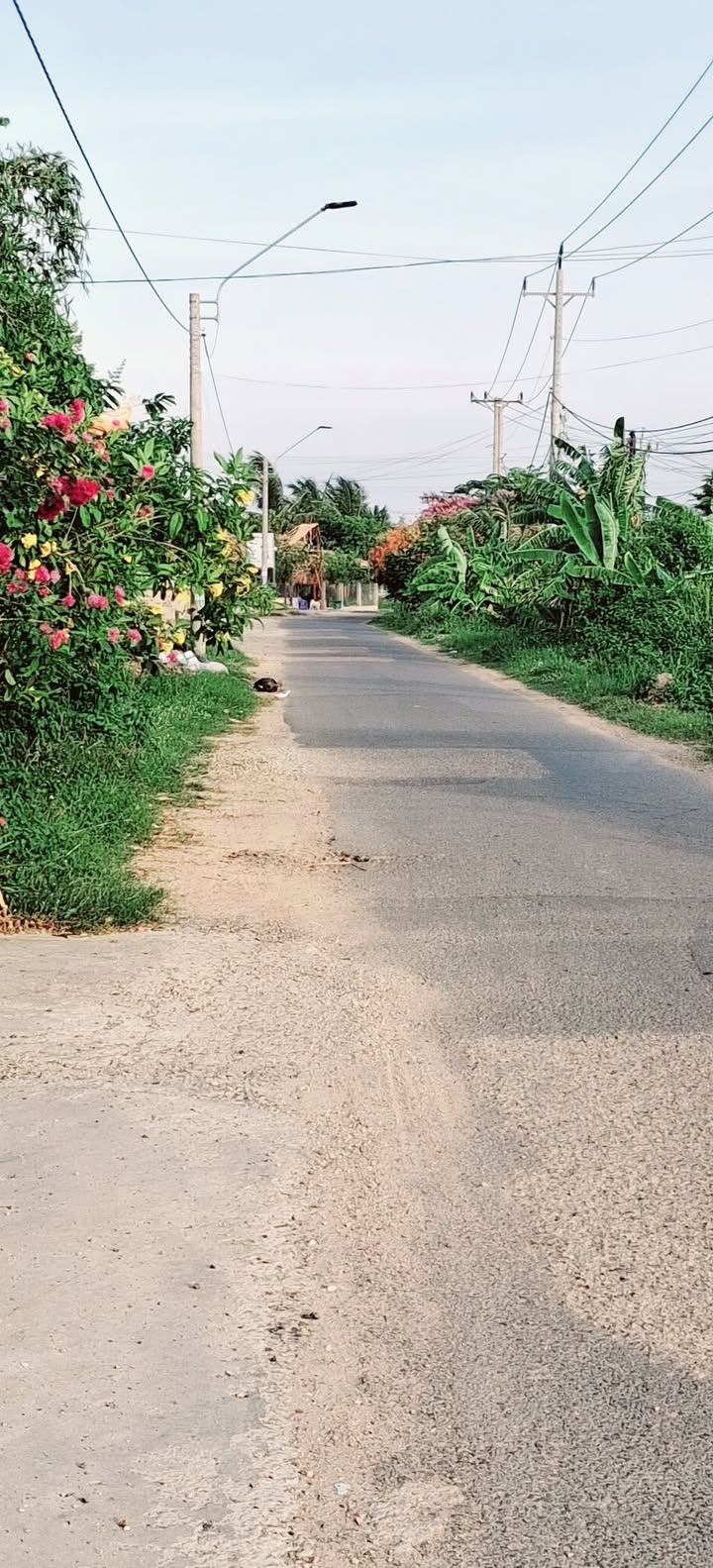 Đất nền 2,5 sào đường Ngô Đức Tốn - Cơ hội đầu tư sinh lợi!