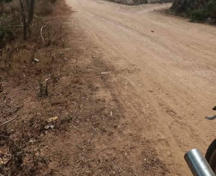 Đất thổ cư 1.2ha tại xã Ea Dăh, huyện Krông Năng - Giá thỏa thuận hấp dẫn!