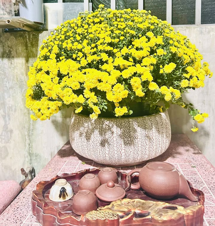 Đất mặt tiền đường Tam Đông, Hóc Môn 64m² giá 3.95 tỷ - Kinh doanh tuyệt vời!