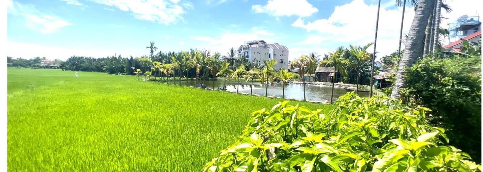 Đất nền Cẩm Thanh Hội An 548,6m² giá chỉ 32,9 tỷ - Pháp lý rõ ràng!