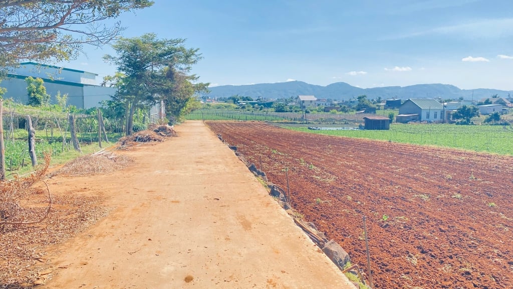 Bán 4 lô đất hẻm tổ 33, Đức Trọng, Lâm Đồng - Giá tốt, vị trí đẹp!