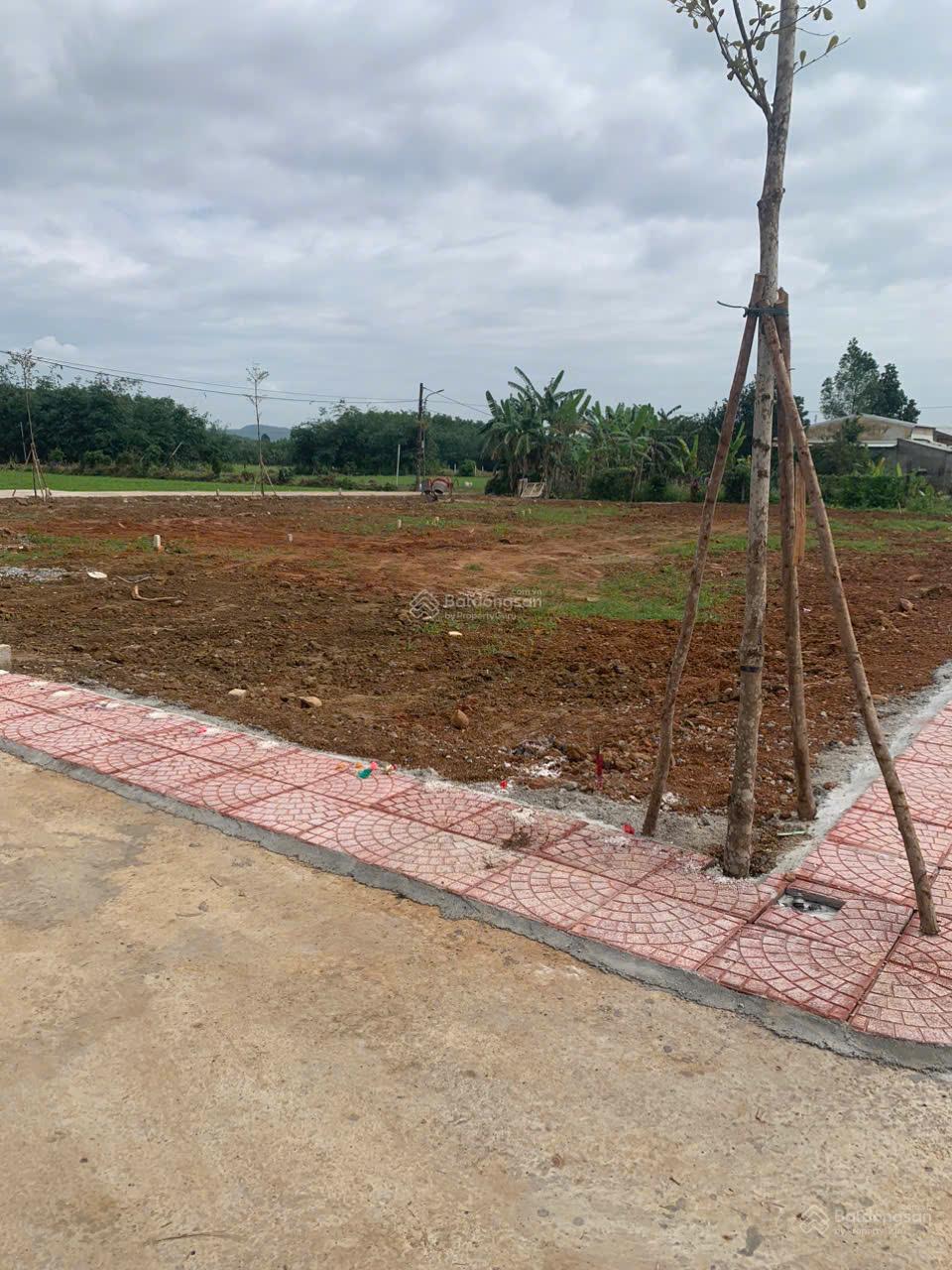 Bán đất Hòa Phú, Hòa Vang 120m² giá 1.2 tỷ - Đầu tư sinh lời lý tưởng!