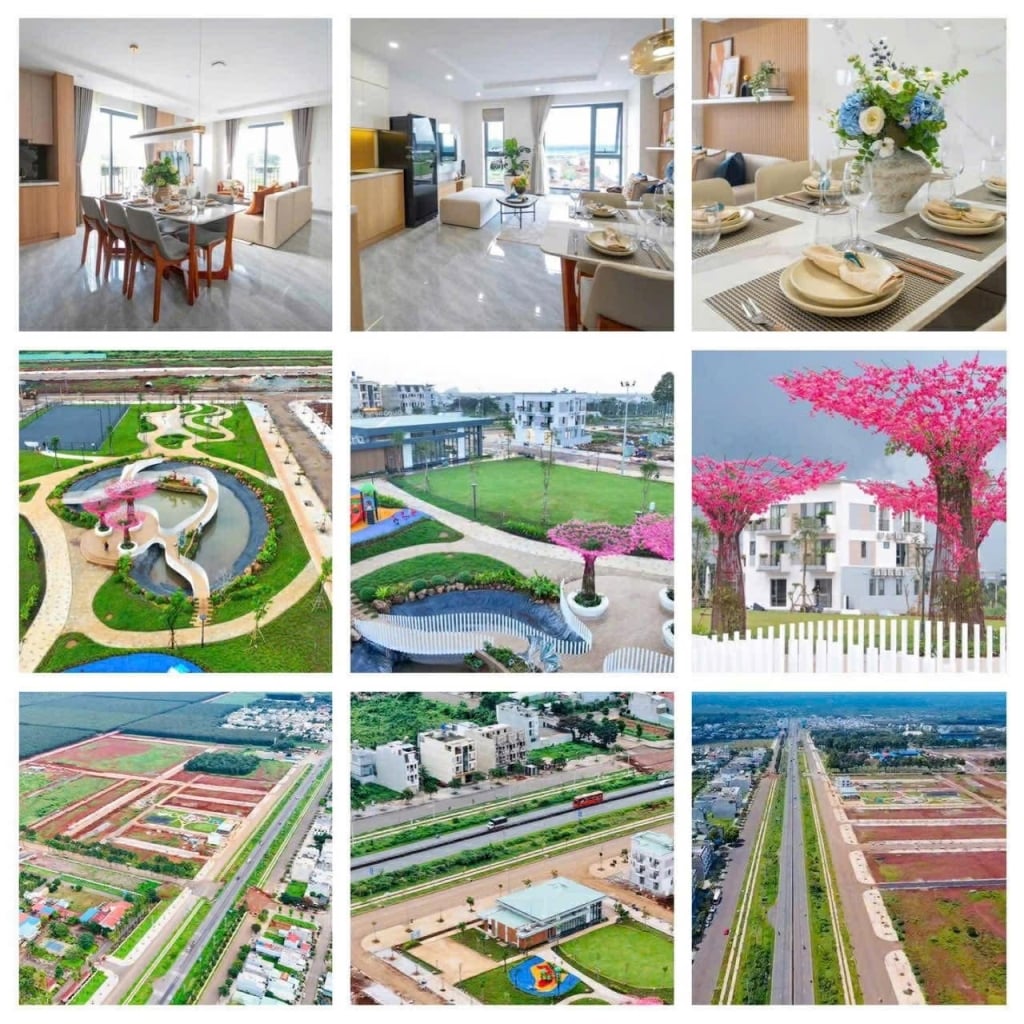 Đất nền The Link City Xuân Thạnh 240m² giá 3.8 tỷ - Đầu tư sinh lời bền vững!