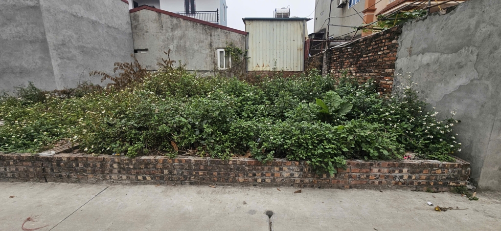 Đất nền đẹp 56m² Đức Hậu, Thanh Lâm chỉ 2.5 tỷ - Cơ hội đầu tư hấp dẫn!