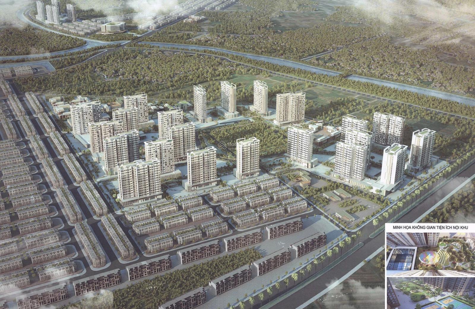 Shophouse Vinhomes Ocean Park 3 56m² giá 9.3 tỷ - Tiềm năng kinh doanh lớn!