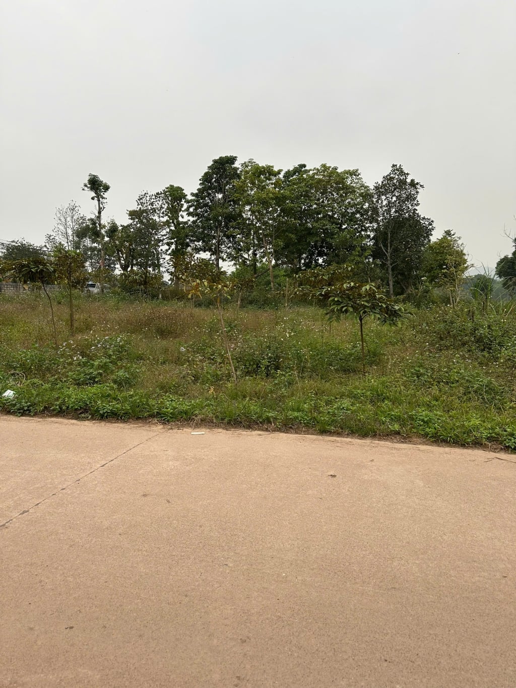 Bán lô đất Tân Cương, Thái Nguyên 102m² chỉ 800 triệu - Đầu tư sinh lời!