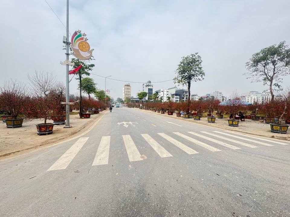 Đất thổ cư đẹp tại Vườn Đào, Uy Nỗ, Đông Anh - Giá cực tốt!