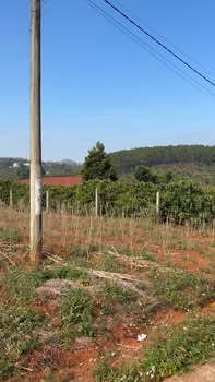 Đất nền xã Nam Hà, Lâm Hà 1000m² giá 2.37 tỷ - Cơ hội đầu tư tuyệt vời!