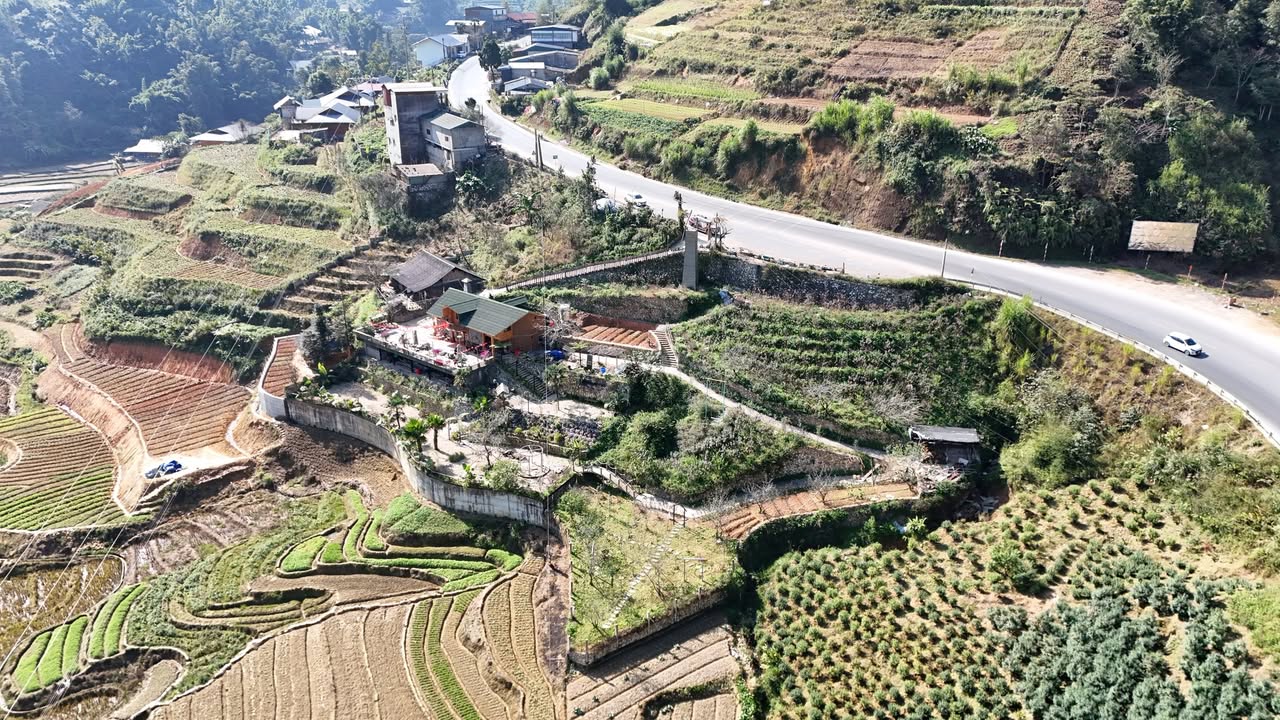 Farm 150m² tại Phường Sa Pa - Giá thỏa thuận, view tuyệt đẹp!