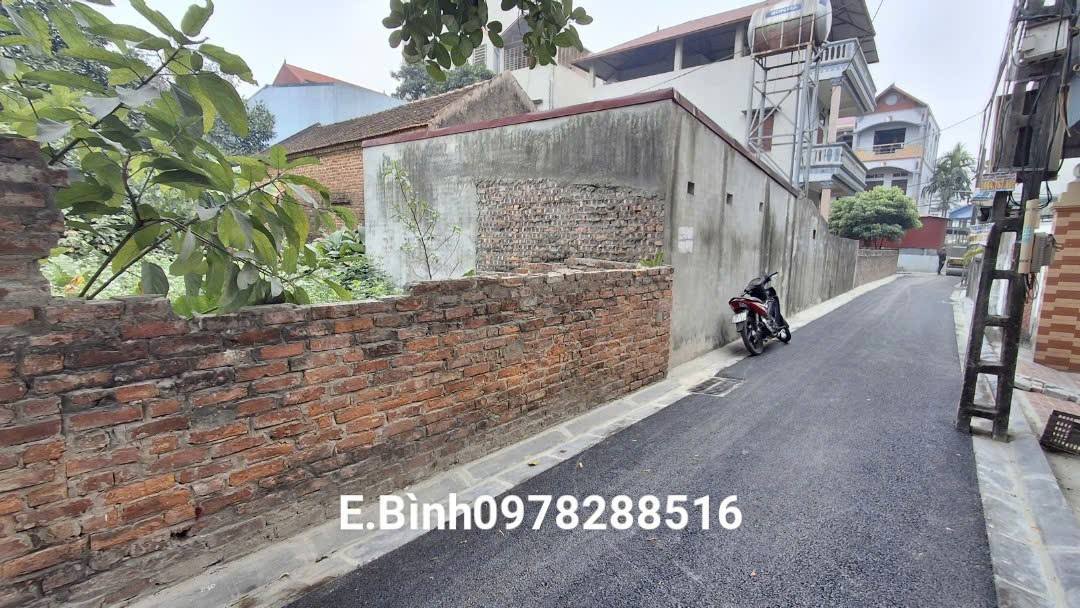 Đất nền Nguyên Khê Đông Anh 61,5m² giá 4.301 tỷ - Hướng Tây Nam, ô tô vào tận nơi!