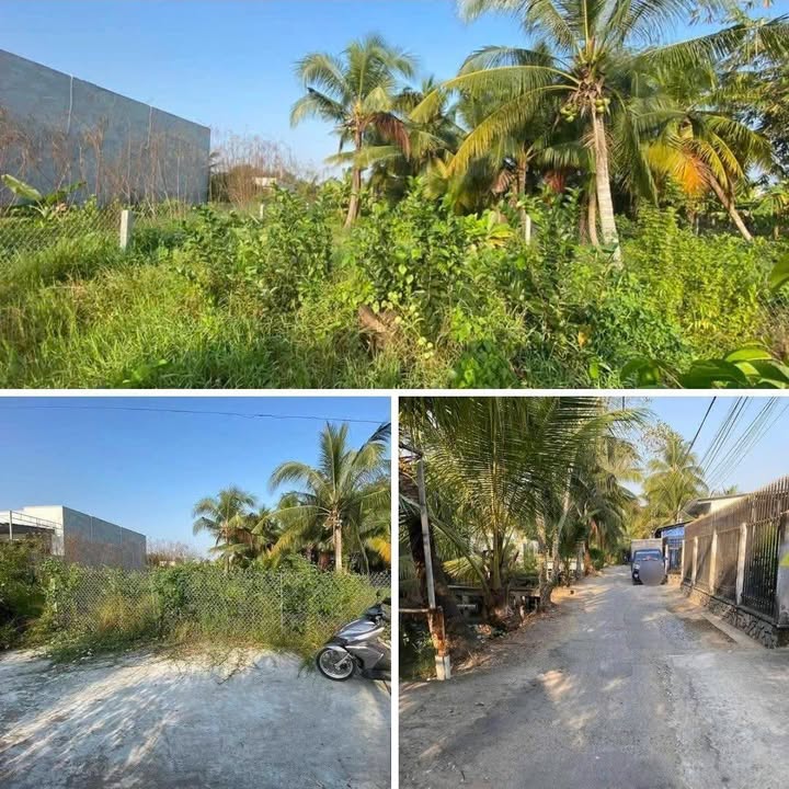 Đất vườn Phú Tân, Bến Tre 450m² giá 1.35 tỷ - Không quy hoạch, sẵn sàng xây dựng!