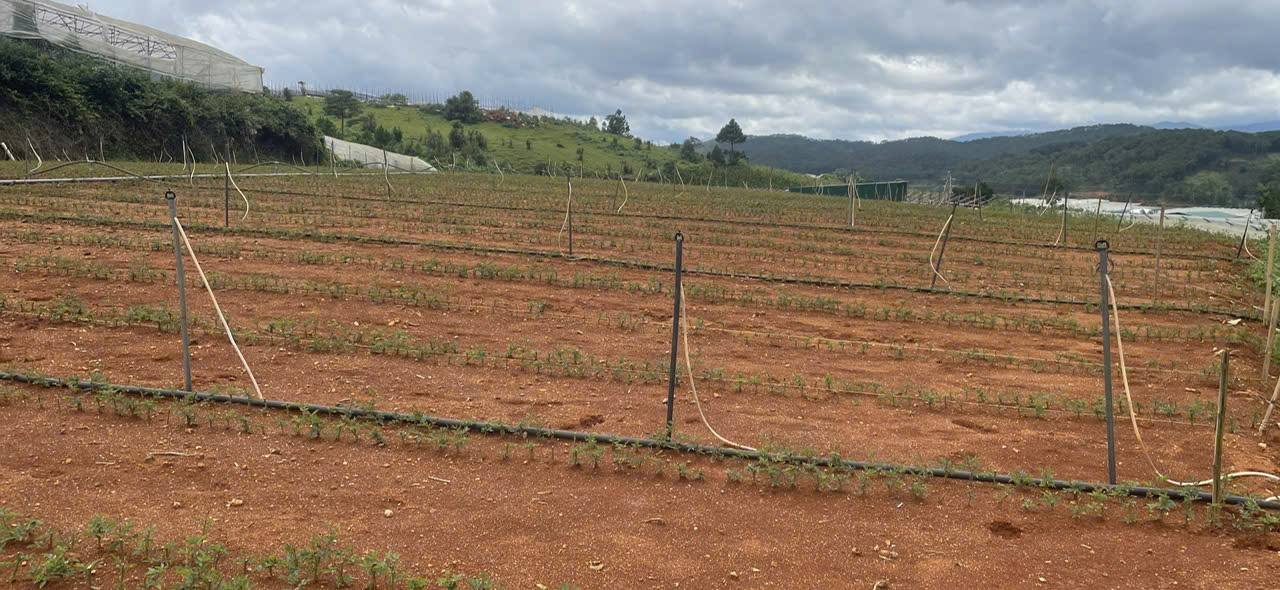 Đất nền đẹp 1548m² tại Lạc Dương, giá chỉ 4.73 tỷ - Cơ hội đầu tư hấp dẫn!