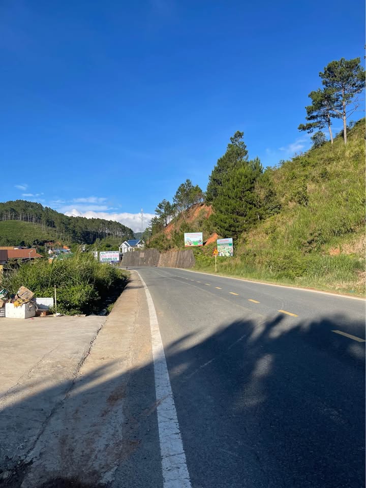 Đất nền Lạc Dương 343m² giá 1.2 tỷ - Đầu tư sinh lời ngay!