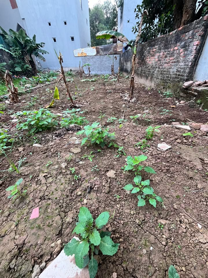 Đất Vạn Phúc, Thanh Trì 76m² giá 4.15 tỷ - Ô tô vào tận nhà!