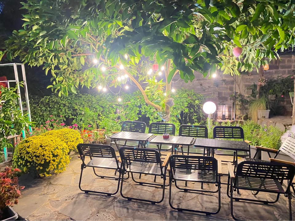 Đất thổ cư mặt tiền đường Quang Trung, Hàm Thuận Bắc 1650m² - Giá chỉ 4.5 tỷ!