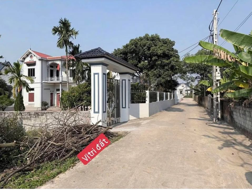 Đất nền Tổ dân phố Quỳnh Sơn, Phường Tân An, 120m² giá chỉ 700 triệu - Cơ hội đầu tư tuyệt vời!