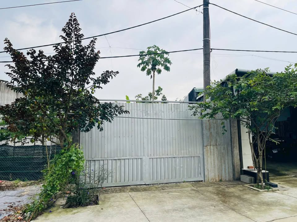 Đất thổ cư 130m² tại xã Tân An Hội, Củ Chi - Giá 1.8 tỷ, xây dựng tự do!