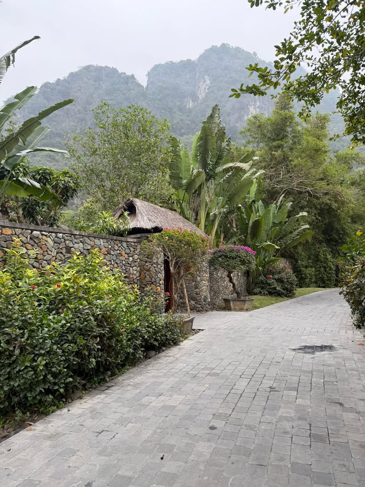 Đất nền thổ cư TDP 5, Phường Mộc Sơn 108m² giá chỉ 1 tỷ - Cơ hội đầu tư tuyệt vời!