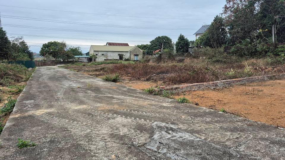 Đất thổ cư Kim Anh, Sóc Sơn 103m² giá 1.481 tỷ - Cơ hội đầu tư hấp dẫn!