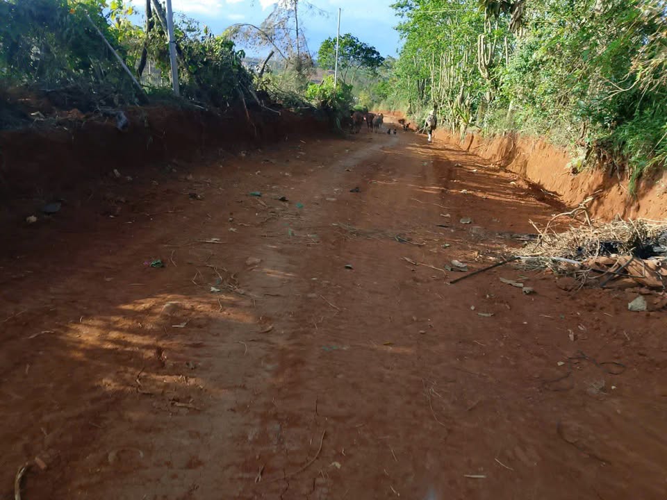 Đất nông nghiệp 1.45ha tại Thôn 9, Lâm Đồng giá 8.46 tỷ - Đầu tư sinh lời!