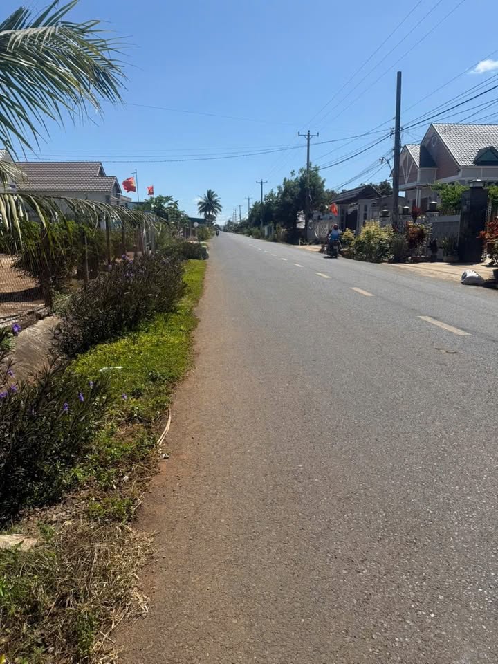 Đất thổ cư 770m² tại Tân Hội, Đức Trọng - Giá chỉ 2.05 tỷ, tặng nhà cấp 4!