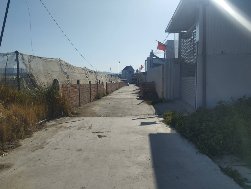 Đất nền Đạ Ròn - Đơn Dương 115m² giá 999 triệu - Cơ hội đầu tư hấp dẫn!