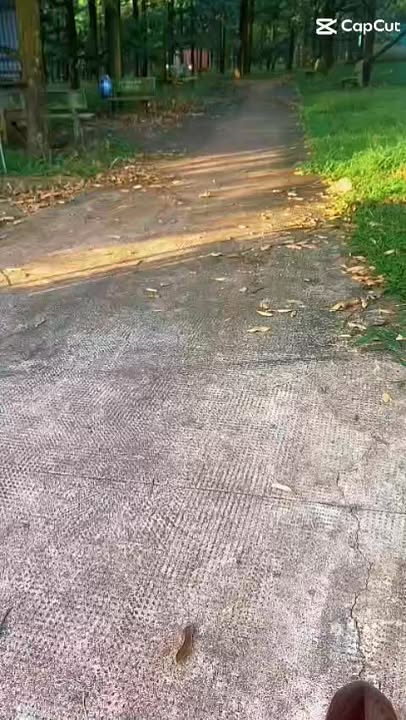 Farm Sầu Riêng 30.000m² tại Hàng Gòn, 5.4 tỷ - Lợi nhuận cao, đầu tư sinh lời!