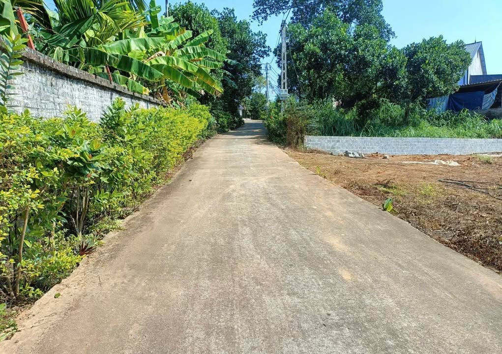 Đất nền Minh Quang Ba Vì 679m² giá thỏa thuận - View núi thơ mộng