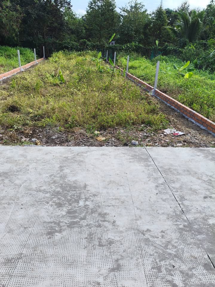 Đất thổ cư Xã Bình Lộc 125m² giá chỉ 590 triệu - Sổ riêng, xây dựng ngay!