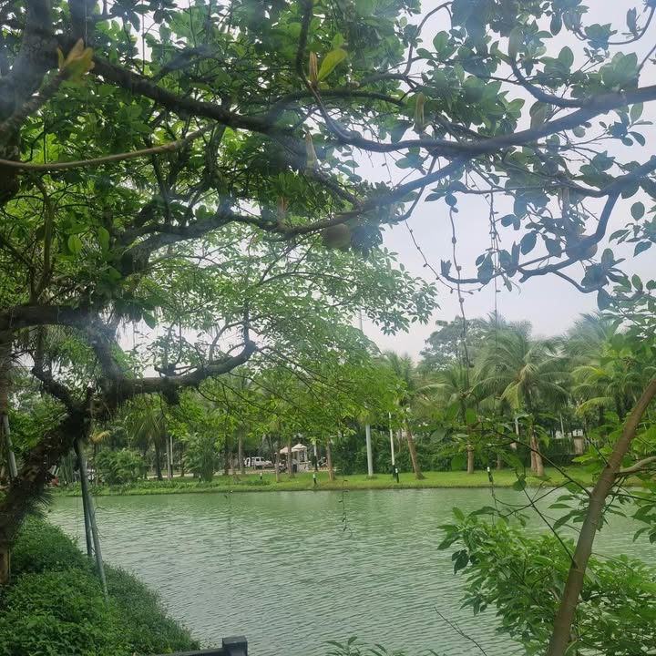 Nhà phố Bằng Lăng 07 Tây Hồ 500m² - Nhà hoàn thiện đẹp, sẵn sàng vào ở!