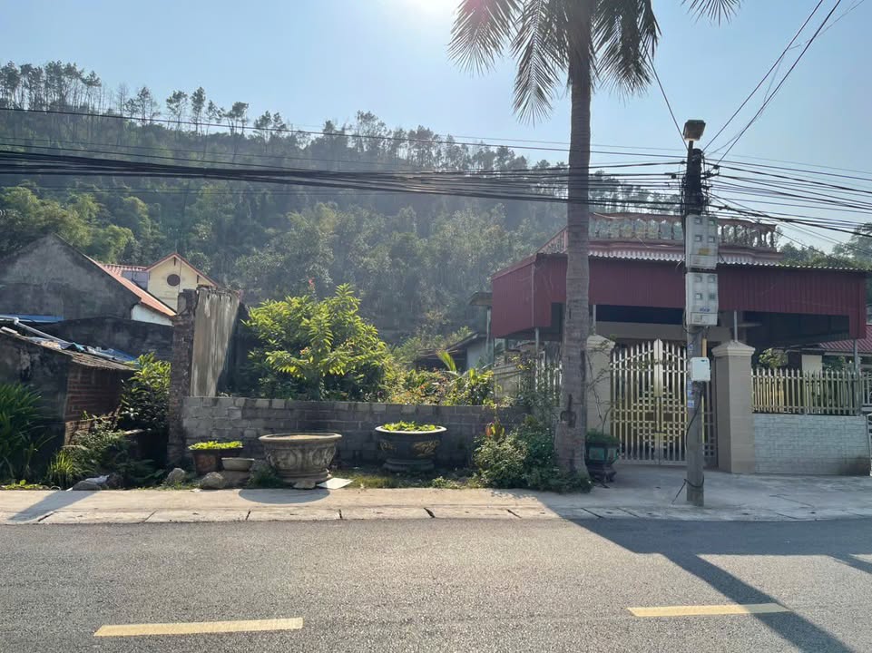 Đất nền chính chủ tại Xã Trường Thành, 140m² - Đầu tư sinh lời ngay!