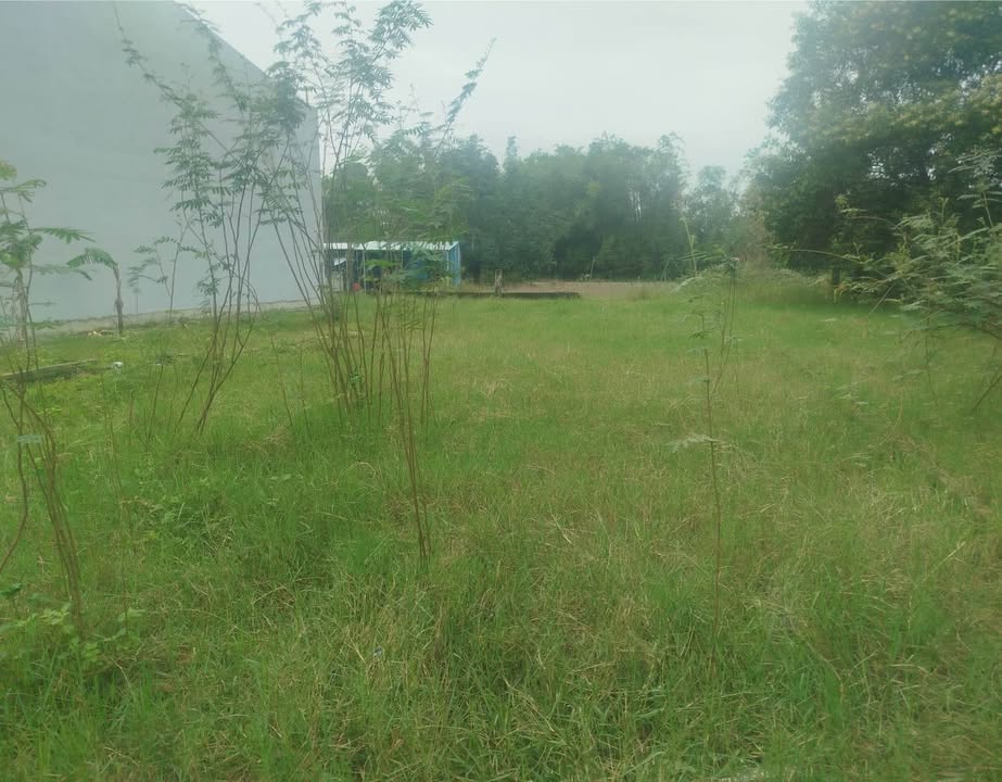 Lô đất 151.6m² Hòa Quý - Mặt tiền kiệt 5m, giá chỉ 2.9 tỷ!