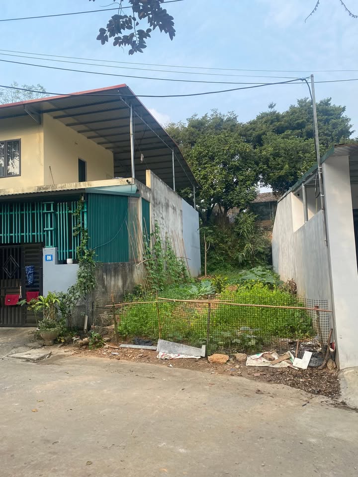 Đất nền Xã Tràng Đà 115m² giá 700 triệu - Cần bán gấp chính chủ!