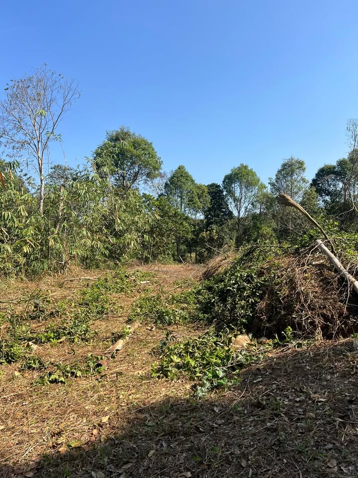 Đất nền thổ cư 328m² trung tâm Gia Nghĩa giá chỉ 450 triệu - Sổ đỏ chính chủ