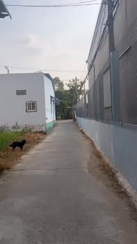 Đất nền 517m² Khu phố 3, Mỹ Phước Tây, giá 1.25 tỷ - Cơ hội đầu tư hấp dẫn!