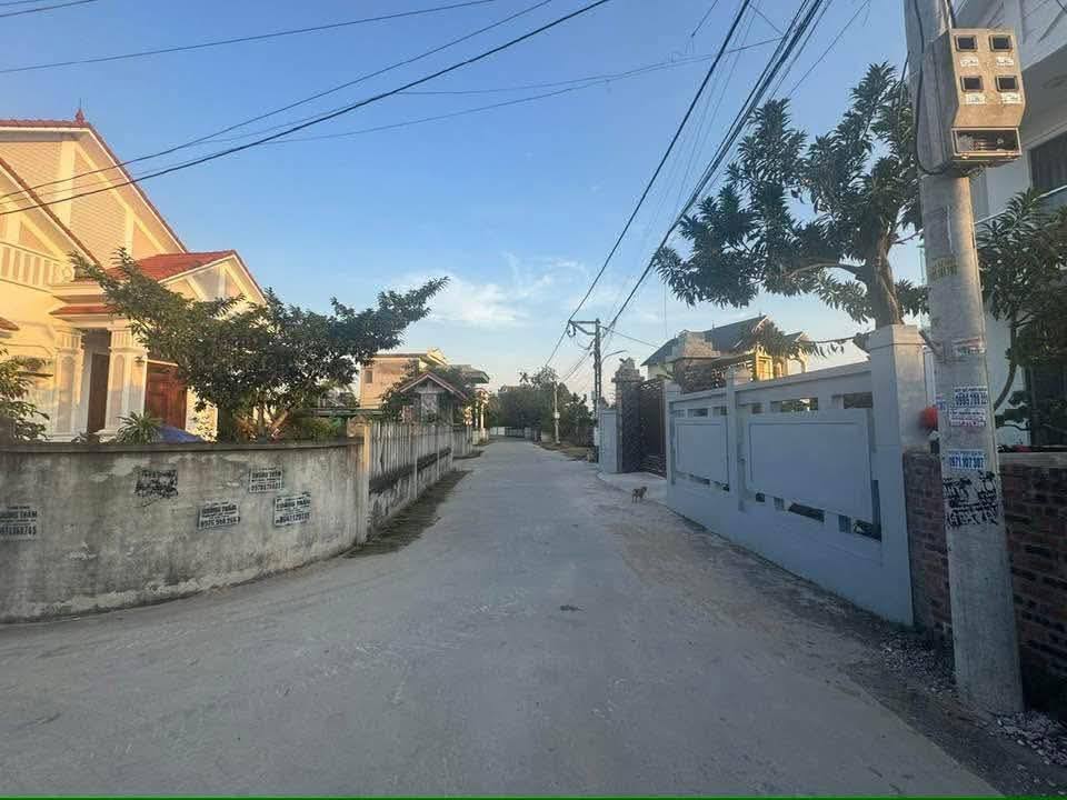 Đất thổ cư xã Thanh An, Thanh Hà 250m² giá chỉ 1 tỷ - Cơ hội đầu tư tuyệt vời!