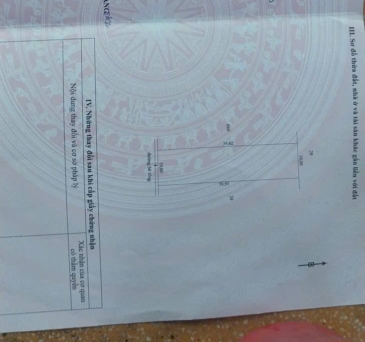 Đất nền 400m² tại Ấp Tân Phước 6, Lai Vung, chỉ 600 triệu - Cơ hội đầu tư hấp dẫn!