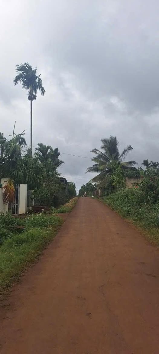 Đất nền mặt tiền đường nhựa xã Ea Đrông 900m² giá 79.2 tỷ - Đầu tư sinh lời ngay!