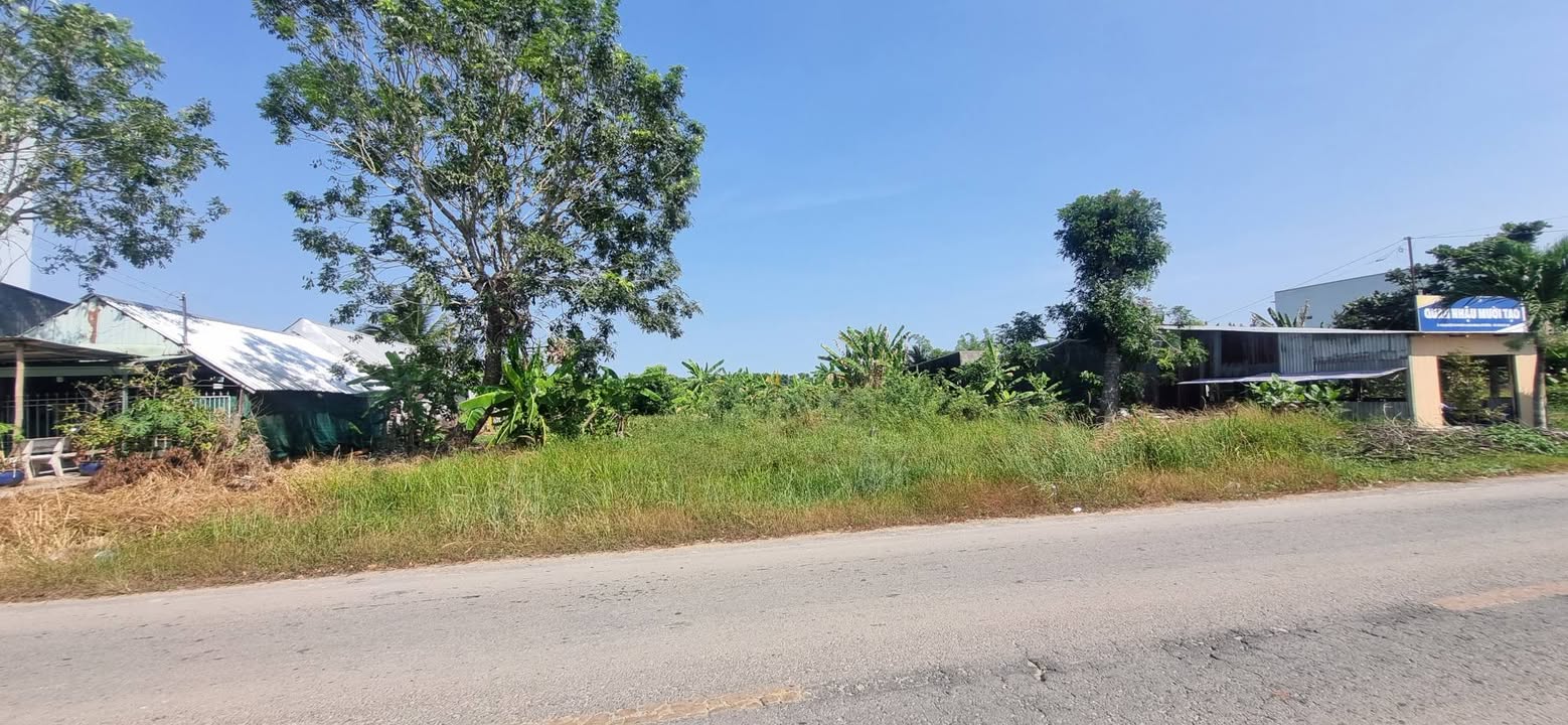 Đất nền QL60 Long Phú 150m² - Đất thổ cư 100%