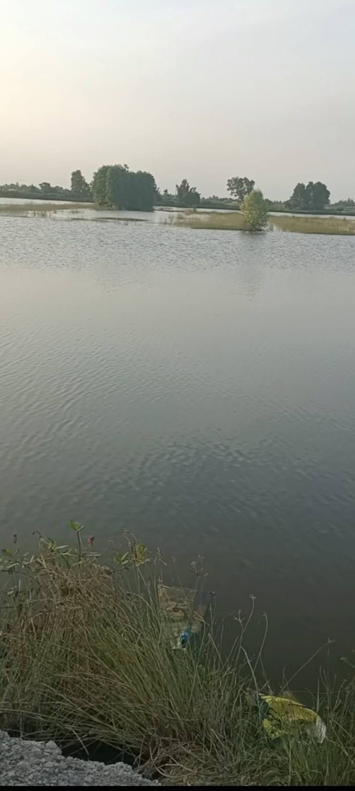 Đất Farm xã Trần Thới, Cà Mau 50040m² giá 4.235 tỷ - Cơ hội đầu tư tuyệt vời!