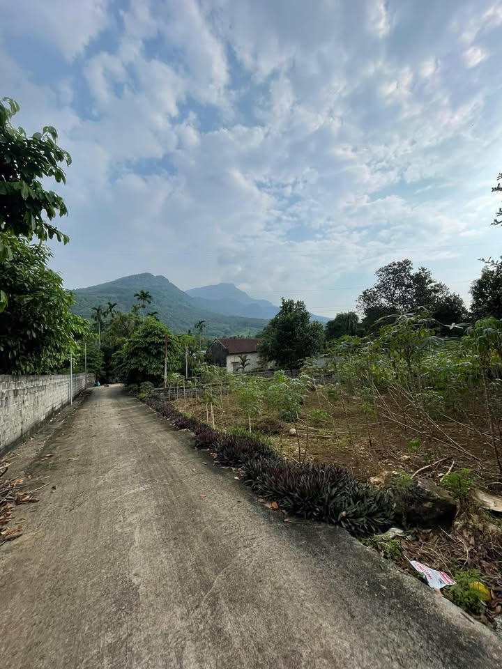 Đất nghỉ dưỡng view Núi Tản Viên tại Xã Ba Trại 360m² giá 2 tỷ - Cơ hội đầu tư lý tưởng!