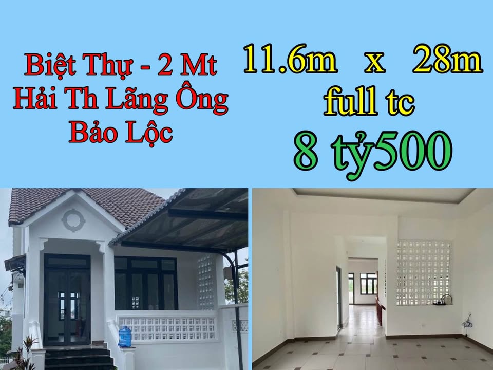 Nhà Biệt Thự 2 Mặt Tiền Đường Hải Thượng Lãng Ông, 324m² giá 8.5 tỷ - Không gian xanh thoáng đãng!
