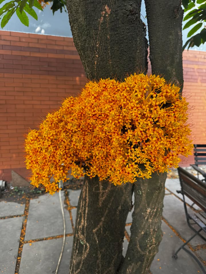 Đất nền Phường Uyên Hưng, Tân Uyên 90m² giá 5,9 tỷ - Cơ hội đầu tư tuyệt vời!