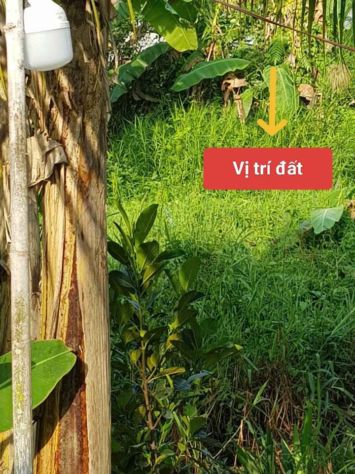 Đất nền chính chủ Song Phú, Tam Bình 2412m² giá chỉ 1.8 tỷ - Cơ hội đầu tư hấp dẫn!