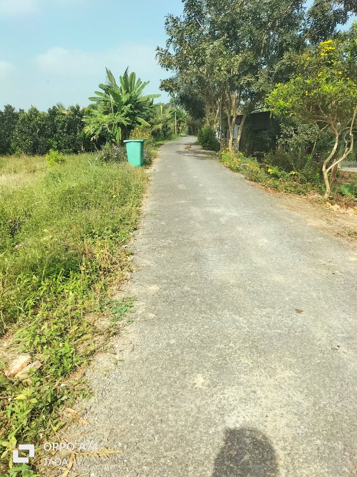 Đất thổ cư Hòa Tịnh, Mang Thít 120m² chỉ 200 triệu - Chính chủ bán gấp!